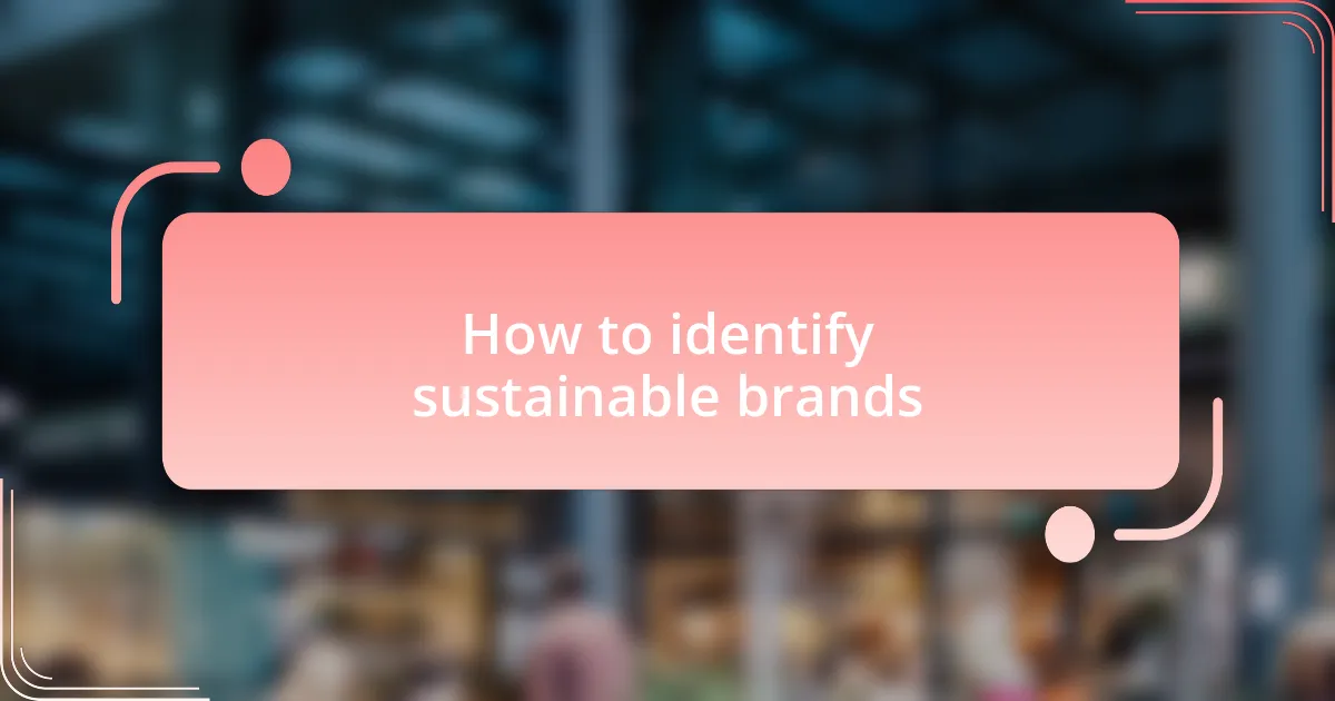 How to identify sustainable brands