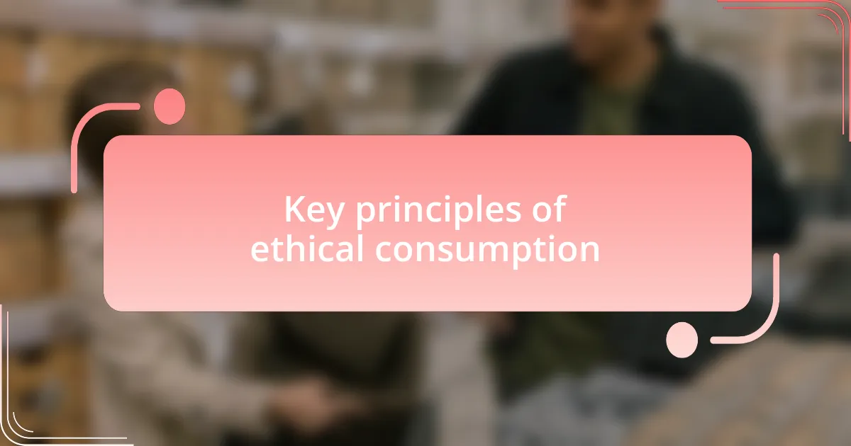 Key principles of ethical consumption