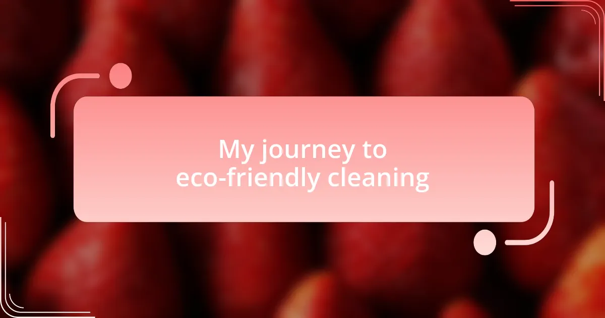 My journey to eco-friendly cleaning