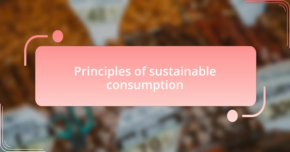Principles of sustainable consumption