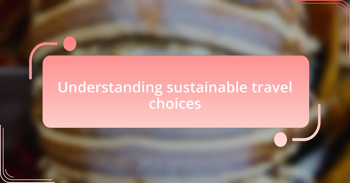 Understanding sustainable travel choices