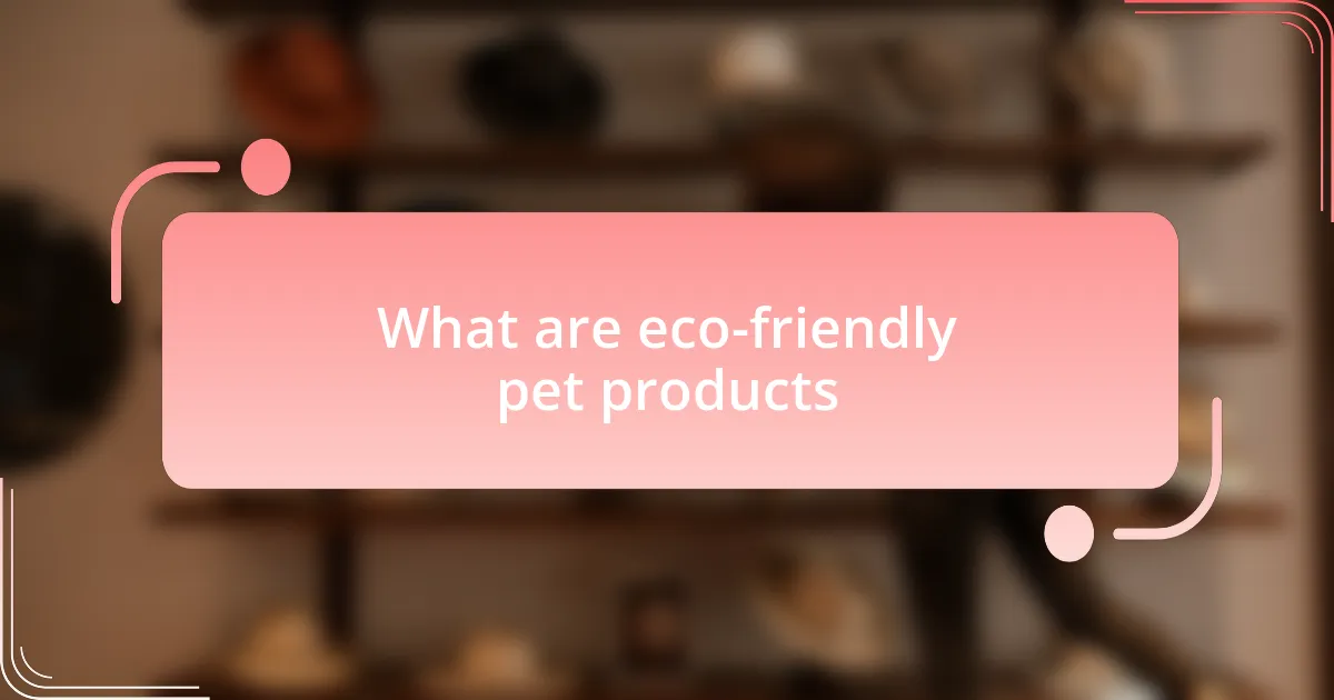 What are eco-friendly pet products